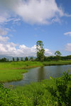 IMG_2291_a