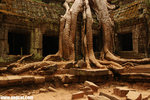 DSC_7357-a-TaProhm