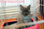 DSC_0151-a