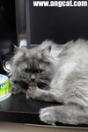 DSC_1409-t-aa