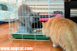 DSC_0166-a