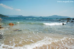 DSC_7311-a