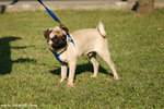 DSC_9698-deedee