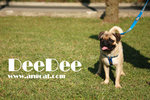 DSC_9700-deedee