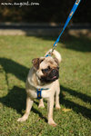 DSC_9703-deedee