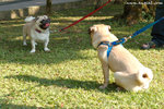 DSC_9706-deedee