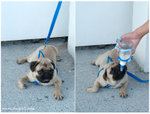 DSC_9733-deedee