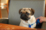 DSC_9768-deedee