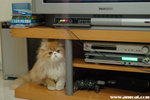DSC_1112-a