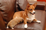 

Lily�u�O�@��ܺ�¾�����ˡA���ޥL��ڭ̪��o�������P�A���]�`�|���ɥh�ݬ����ơA�����������βM�䨭��C
