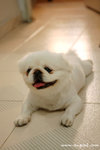 DSC_1970-white