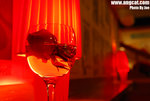JOE_8017