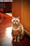 DSC_3793-aa