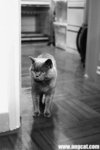 DSC_3829-aa