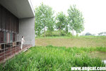 BFC_1027_web1