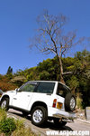 DSC_0451-pok-aa
