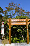 DSC_0464-pok-aa