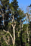 DSC_0485-pok-aa