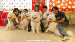 DSC_4301-m
