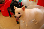 DSC_4260-a