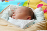 DSC_8184-a