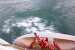 100_1682-ferry