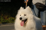 DSC_9750-s