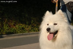 DSC_9752-s