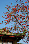 DSC_9561-a
