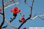 DSC_9569-a
