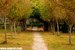 DSC_9628-a