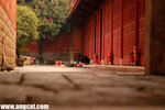 DSC_9669-a