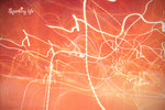 20080319_1