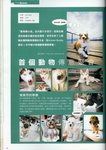 Animal Buddy�E�|
