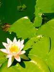 P1010534