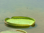 P1010537