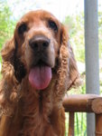 IMG_5828