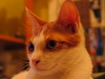 IMG_2513