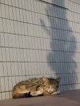 IMG_5972