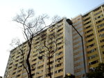 IMGP2973