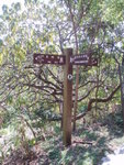 P1010005