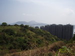 P1010006