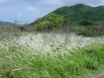 DSC04136