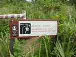 DSC04146