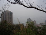 P1010009