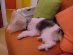 DSCF4099