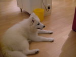 DSCF4102