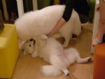 DSCF4110