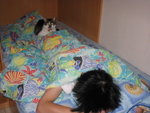 sleeping on nic