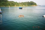 in the sea